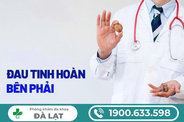 Hình ảnh minh họa